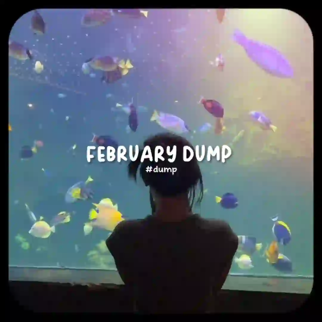 FEBRUARY DUMP